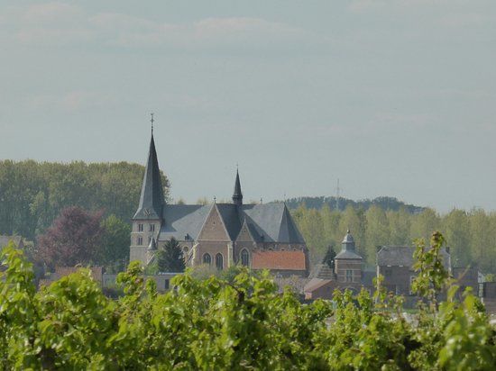 Sint-Genovevakerk