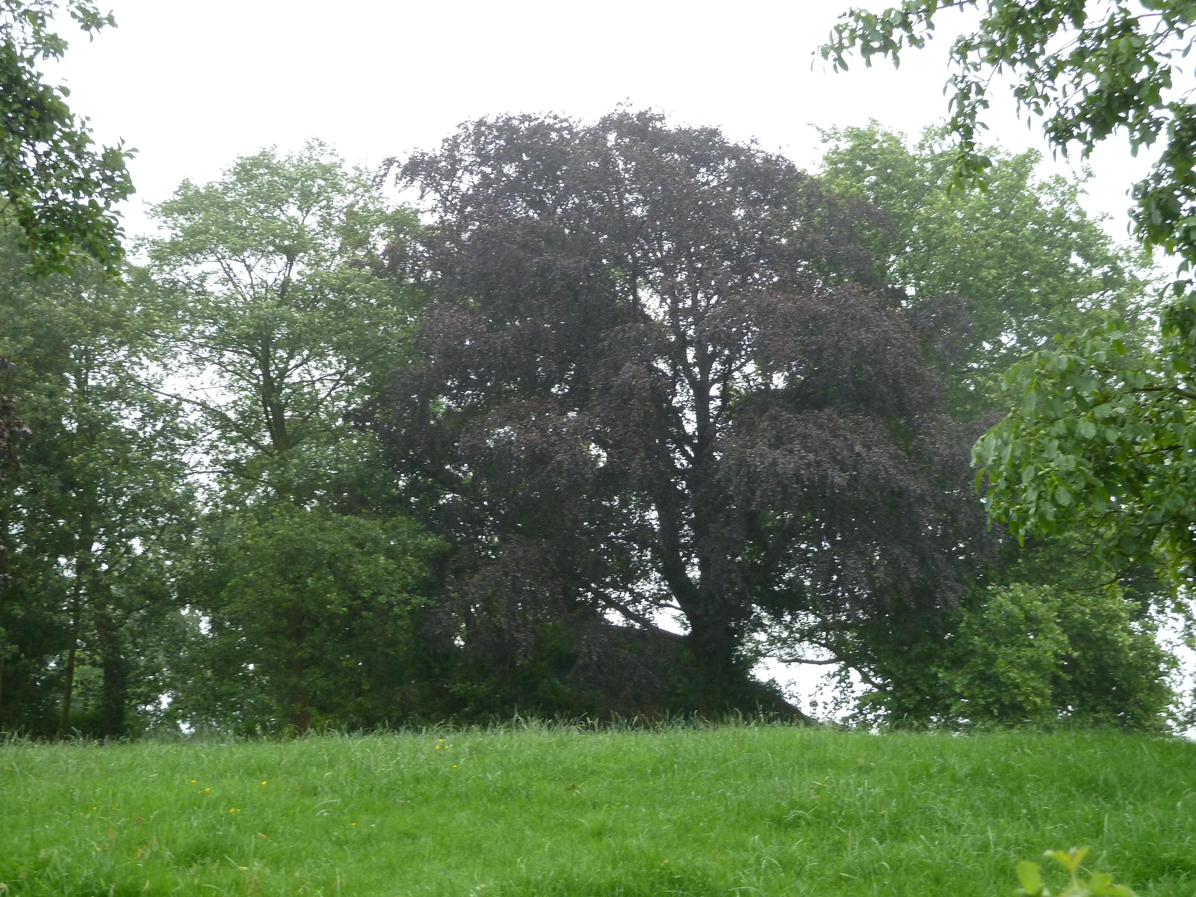 Tumulus Gentombe