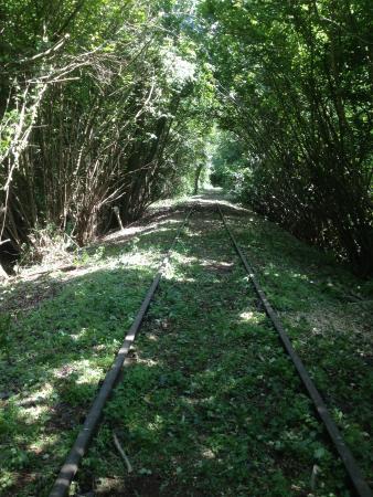 Railbike Limburg