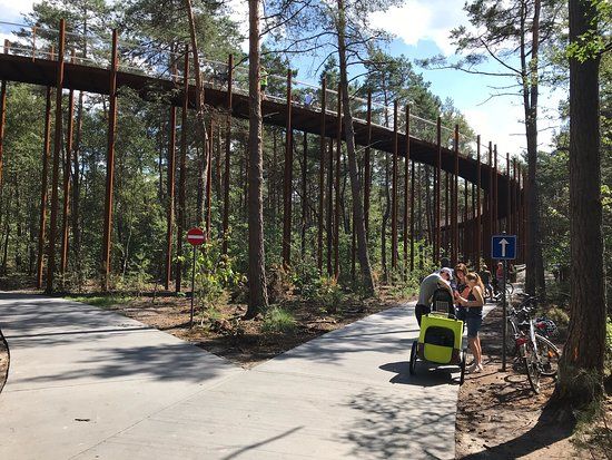 Cycling through the Trees