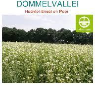 de Dommelvallei