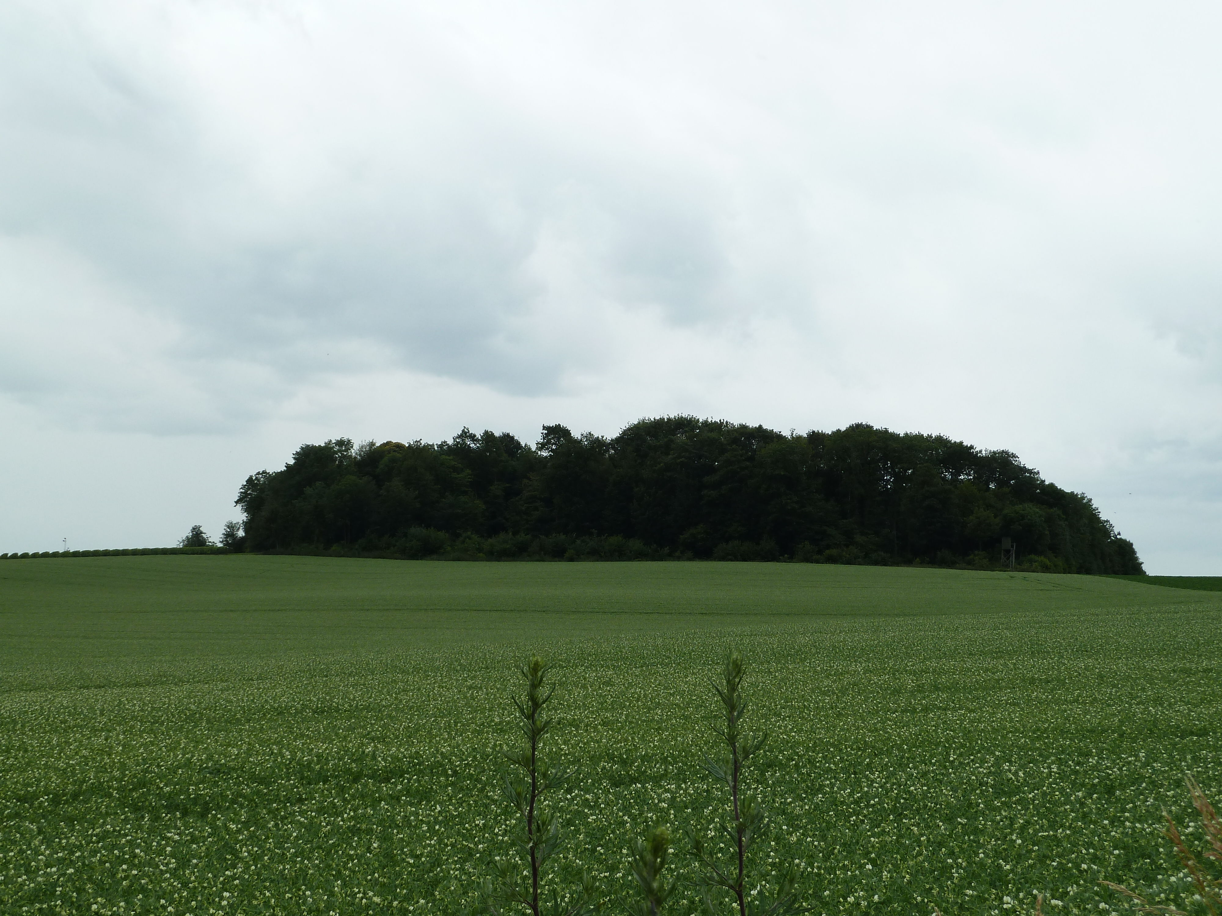 Tumulus van Genoelselderen